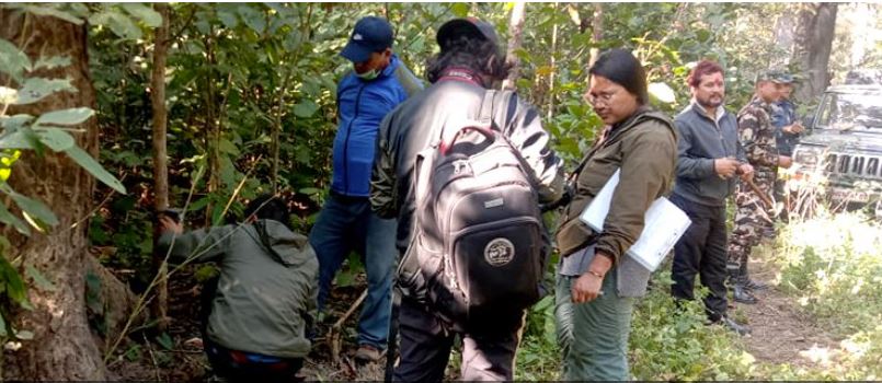 बाघ प्रभावित क्षेत्रमा क्यामेरा जडान