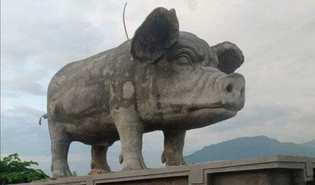 मूर्तिको लागतसँगै आकृति विवादमा, कलाकार सोध्छन् : सुँगुर कि बराह ?