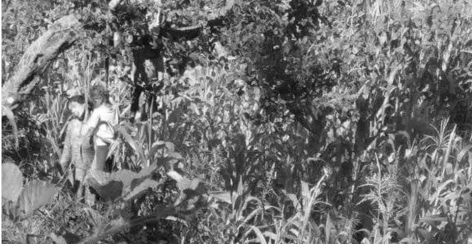 एकै घरका तीन जना झुन्डिएको अवस्थामा फेला